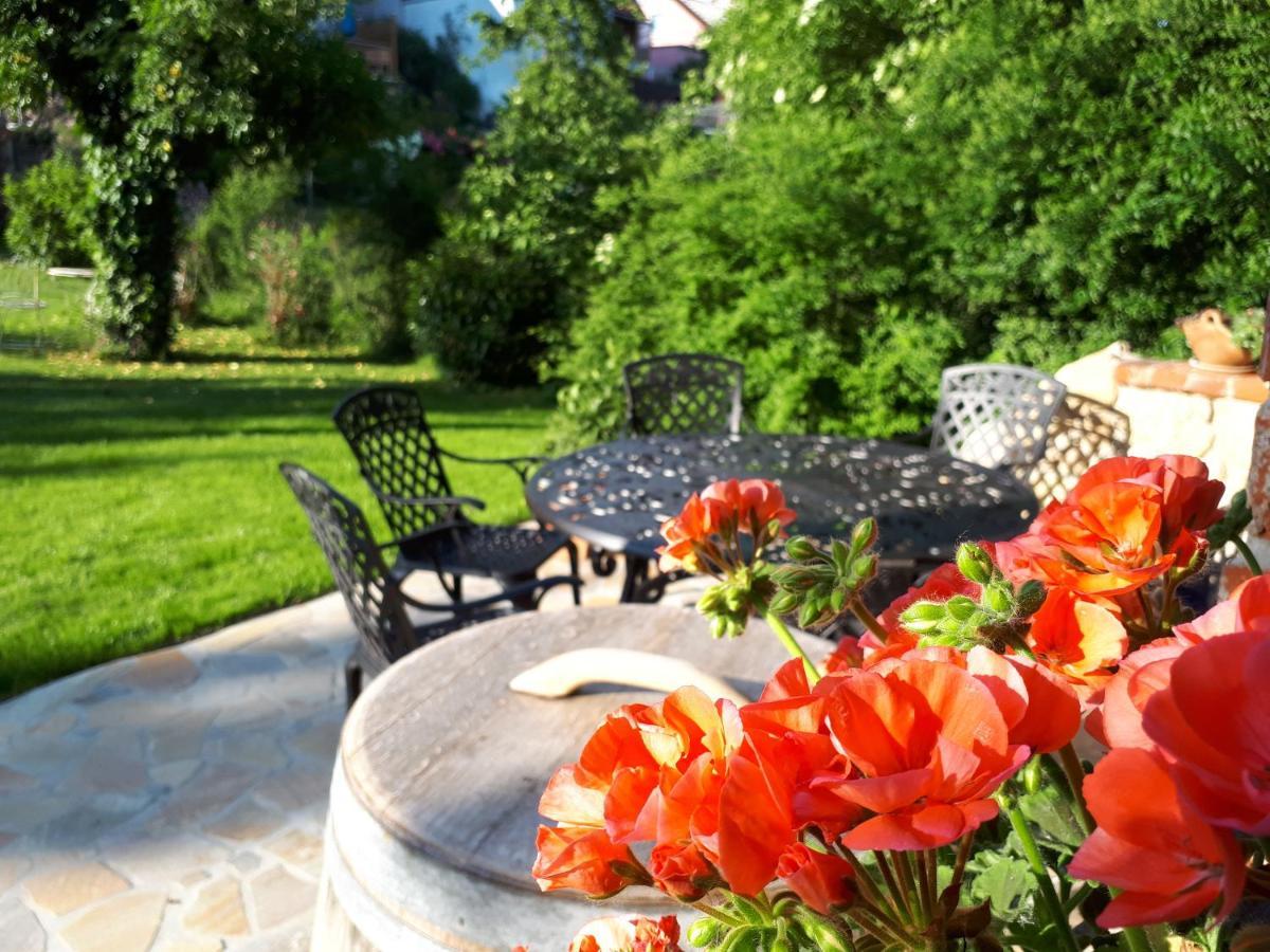 Ferienwohnung Pension Am Weinberg Mainstockheim Ngoại thất bức ảnh